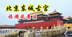 性感美女被轮奸中国北京-东城古宫旅游风景区